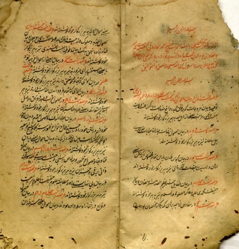Yazma Nüshalar