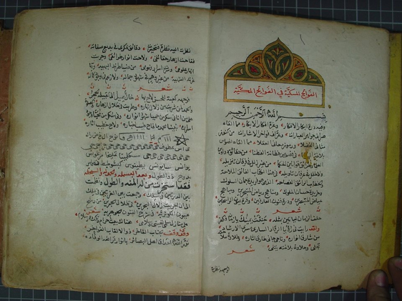 Yazma Nüshalar