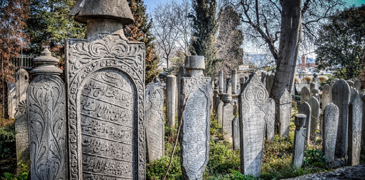 Kimse, Nerede Öleceğini Bilemez