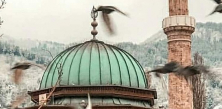 Üç Aylar - Zülcenâheyn