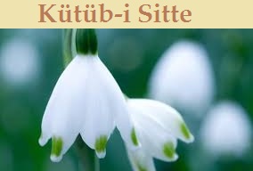 Kütüb-i Sitte