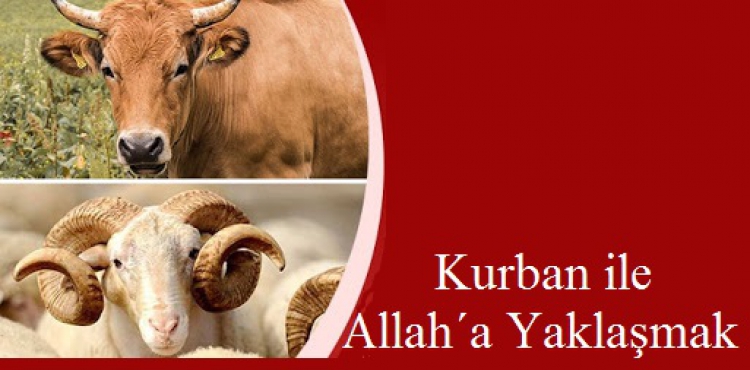 Kurban ile Allah´a Yaklaşmak