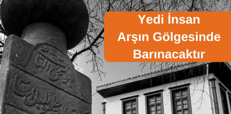Yedi Sınıf İnsan Arşının Gölgesinde Barınacaktır