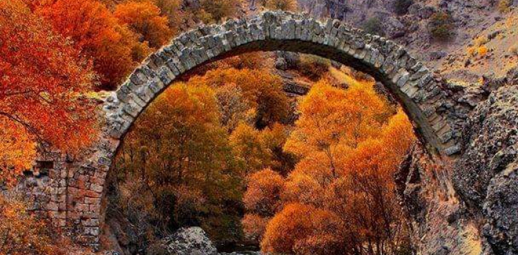 Yağmur ve Toprak