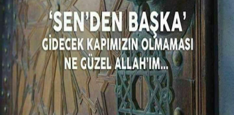 Şeriat Ağacı