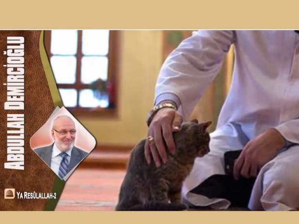 Ya Rasûlallah 2 - şiir