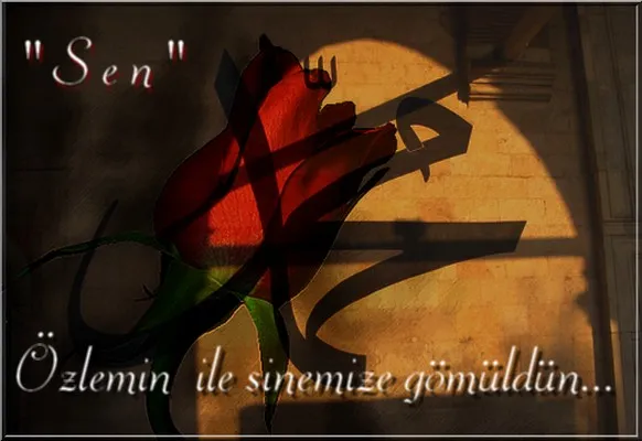 İster misin Rasûlullâh Baban Olsun?‏