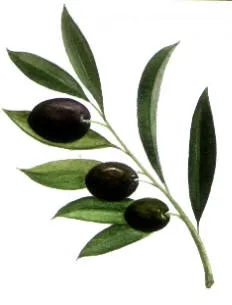 Bitirilen İlk Kan Davası