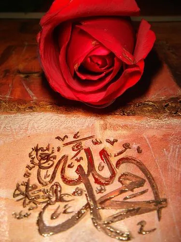 "Gül, Muhammed (s.a.s) Teridir"